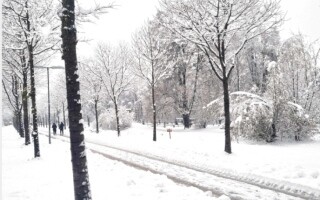 Unexpected Cold Snap in Vienna: Temperatures Drop Below Zero After Spring Equinox