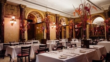 Explore the Cultural Gems of Vienna